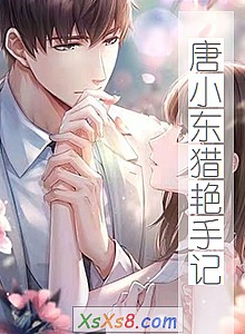 ����С�������ּǡ�С˵����