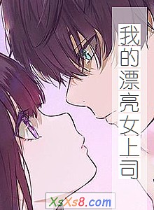 《我的漂亮女上司》小说封面