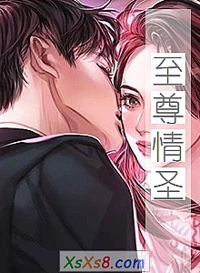 《至尊情圣》小说封面