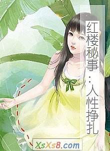 《红楼秘事:人性挣扎》小说封面