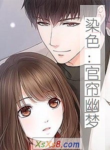 《染色:官帘幽梦》小说封面