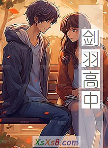 《剑羽高中》小说封面