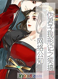 《伪君子现形记之笑搞网络公知》小说封面