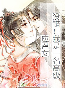 《没错!我是一名高级应召女》小说封面