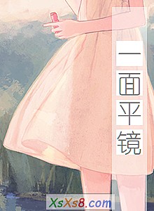 《一面平镜》小说封面