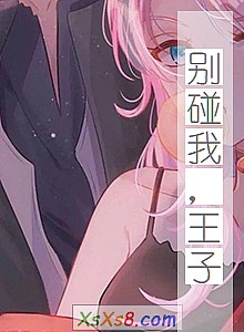 《别碰我,王子》小说封面