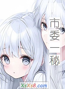 《市委一秘》小说封面