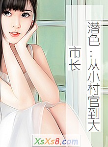 《潜色:从小村官到大市长》小说封面