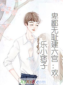 《卑鄙无耻建六宫:欢乐小痞子》小说封面