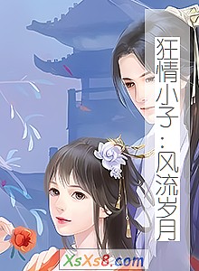 《狂情小子:风流岁月》小说封面