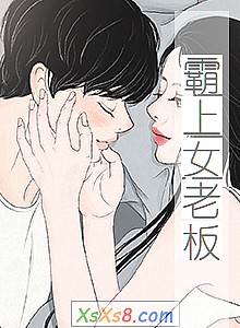 《霸上女老板》小说封面