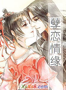 《孽恋情缘》小说封面