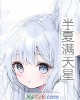 《半夏满天星》小说封面