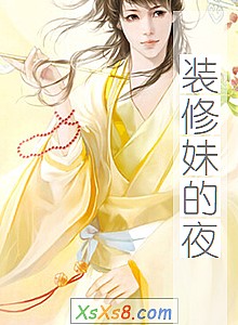 《装修妹的夜》小说封面