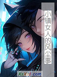 《小镇女人的风尘事》小说封面