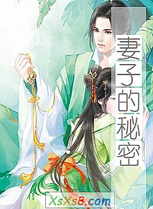 《妻子的秘密》小说封面