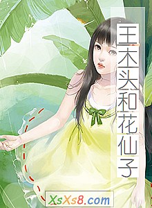 《王木头和花仙子》小说封面