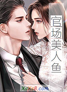 《官场美人鱼》小说封面