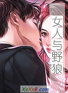 《女人与野狼》小说封面