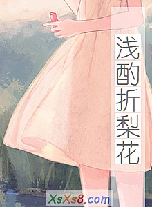 《浅酌折梨花》小说封面