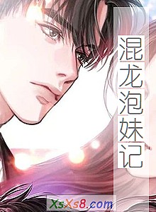 《混龙泡妹记》小说封面