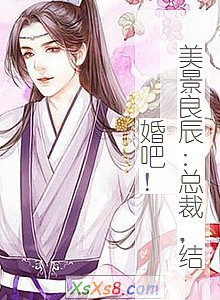 《美景良辰:总裁,结婚吧!》小说封面