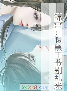 《锦宫:腹黑王爷别乱来》小说封面