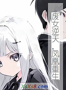 《废女逆天,凤凰重生》小说封面