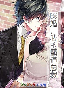 《暖婚,我的霸道总裁》小说封面