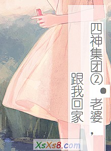 《四神集团②·老婆,跟我回家》小说封面