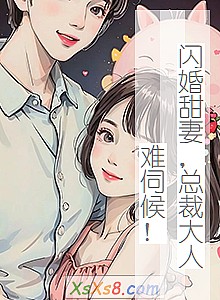 《闪婚甜妻,总裁大人难伺候!》小说封面