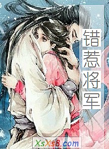 《错惹将军》小说封面