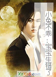 《小兔不乖:宝宝生错了》小说封面