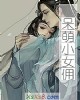 《呆萌小女佣》小说封面