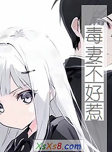 《毒妻不好惹》小说封面