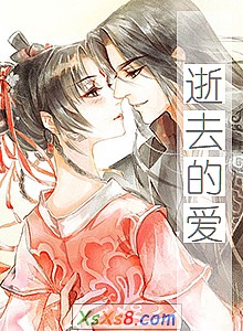 《逝去的爱》小说封面