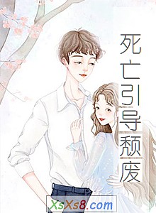 《死亡引导颓废》小说封面