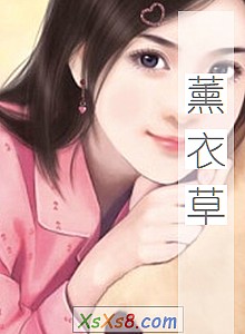 《薰衣草》小说封面