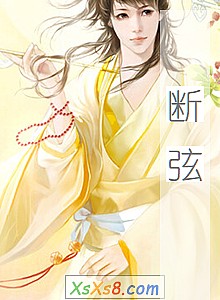 《断弦》小说封面