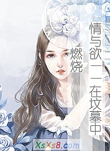 《情与欲——在坟墓中燃烧》小说封面