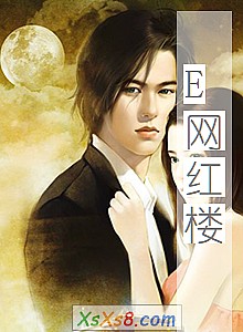 《E网红楼》小说封面