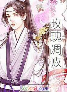 《玫瑰凋败》小说封面