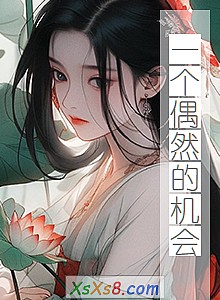 《一个偶然的机会》小说封面