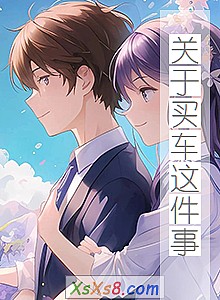 《关于买车这件事》小说封面