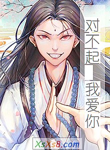 《对不起 我爱你》小说封面