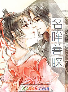 《名眸善睐》小说封面