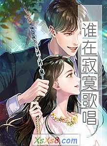 《谁在寂寞歌唱》小说封面