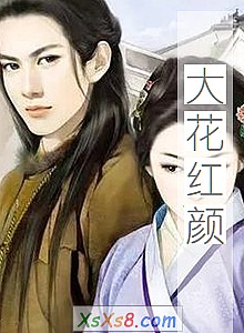 《大花红颜》小说封面