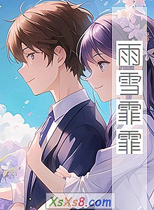 《雨雪霏霏》小说封面