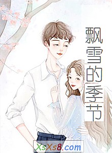 《飘雪的季节》小说封面
